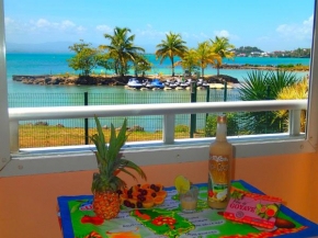 Appartement T2 très Fonctionnel , sur la plage & vue mer Exceptionnelle
